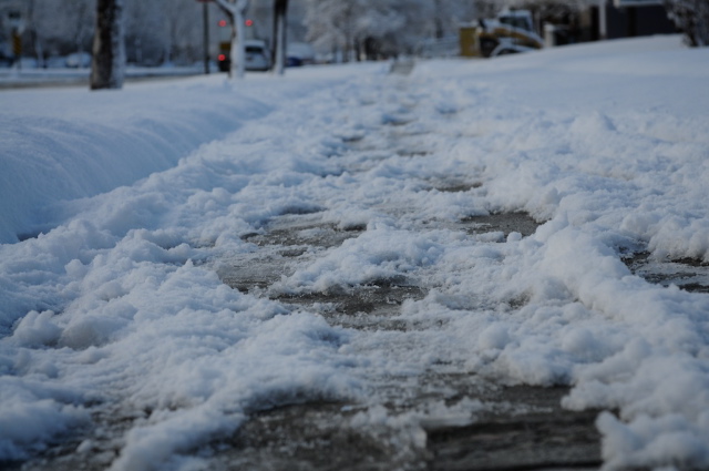 dsc_3044-version-2.jpg