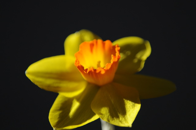dsc_3697.jpg
